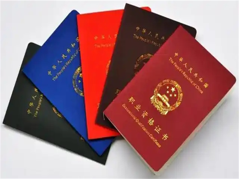 证件照片拍摄与排版的注意事项