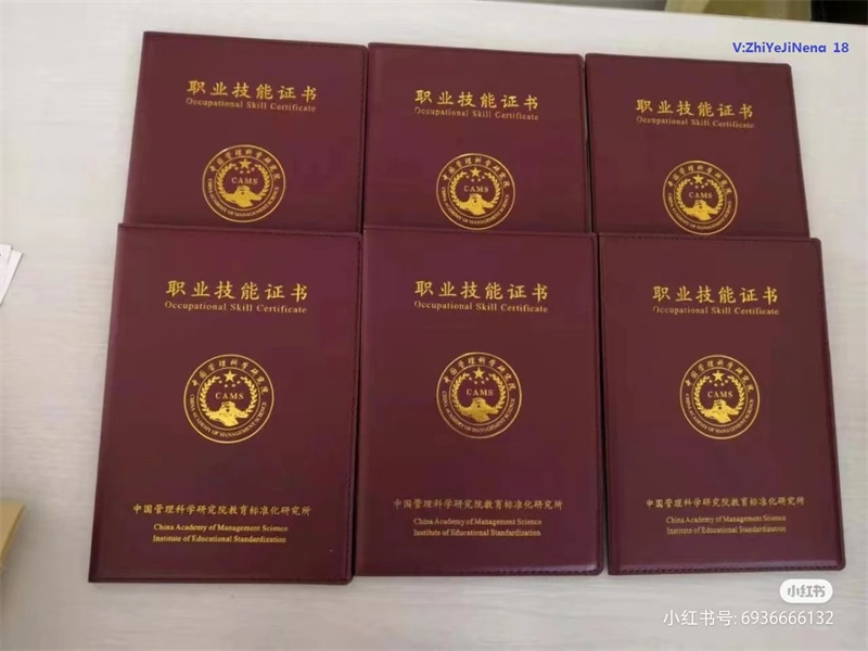 证件遗失补办替代