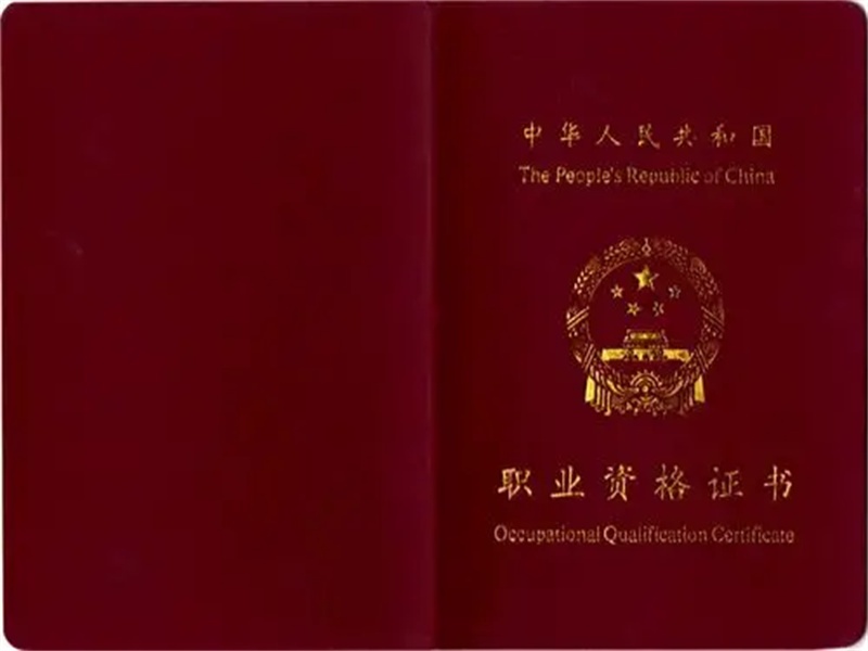 不同证件版式更新，制作时需要关注什么